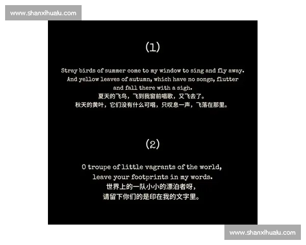《在激烈的赛场上，诗句如风，胜者与诗心共舞的精彩瞬间》
